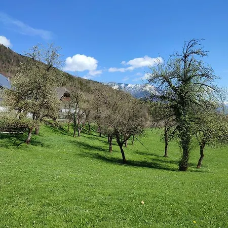 Apartmán Grafbauer