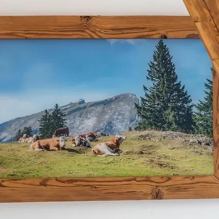 Grafbauer Apartament *