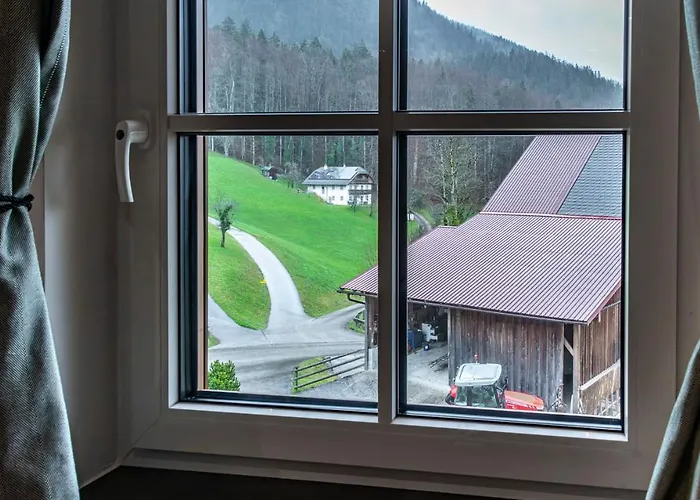 Apartament Grafbauer *