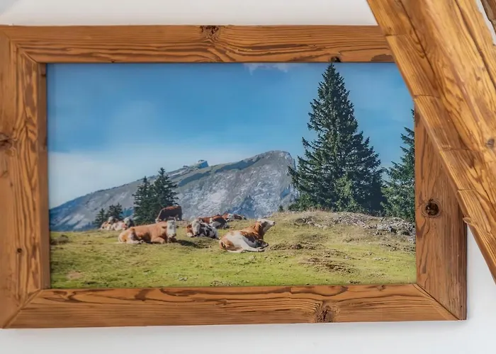 Grafbauer Apartament *